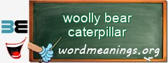 WordMeaning blackboard for woolly bear caterpillar